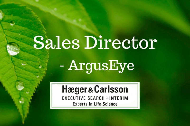 Sales Director - ArgusEye image