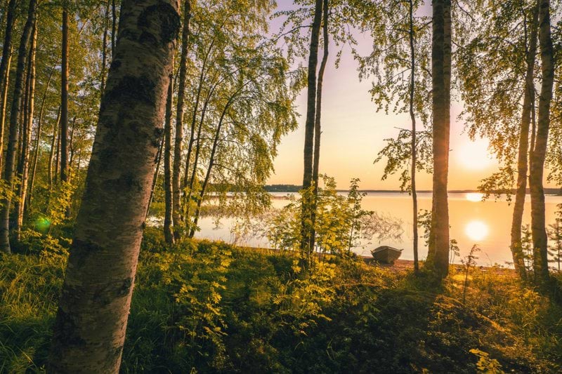 Environmental Consultant (example job- delete before going live) image