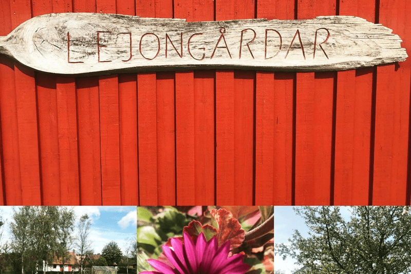 Behandlingspersonal till Lejongårdar HVB image