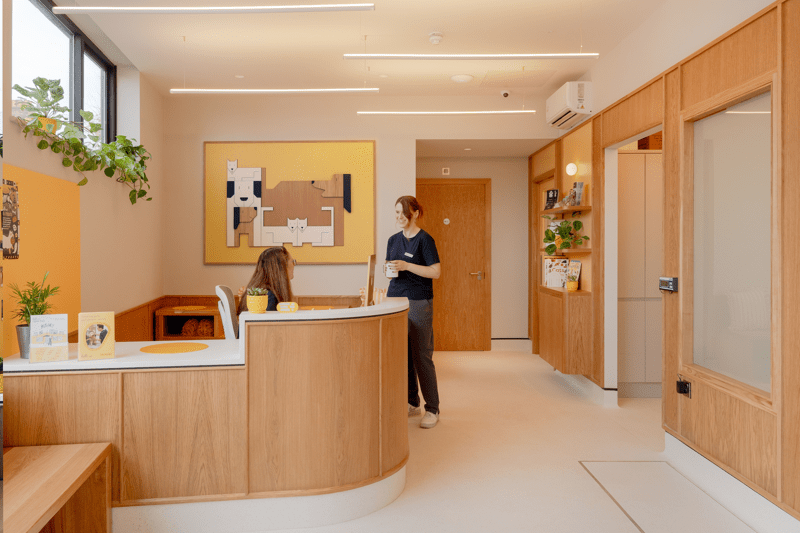 Lead Digital Registered Veterinary Nurse image