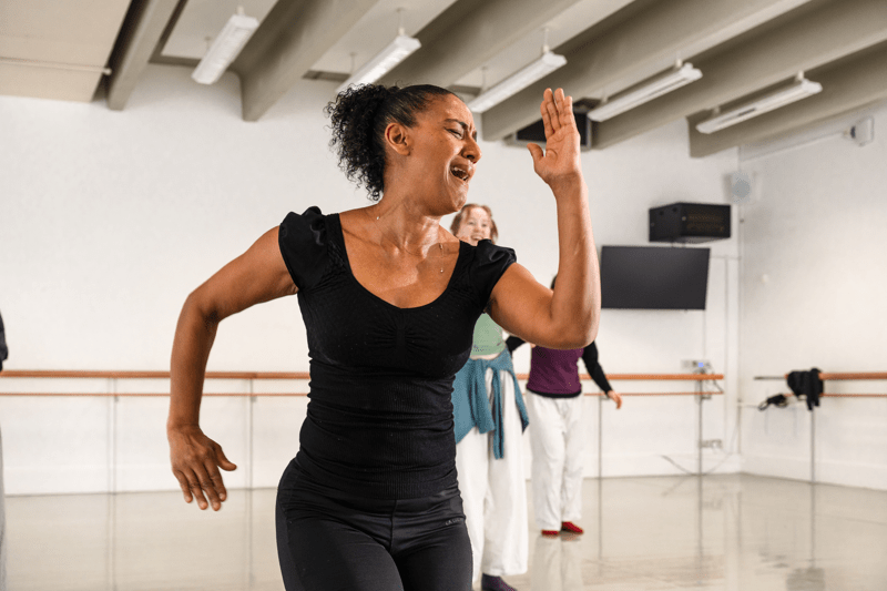 HEAD OF DANCE SCIENCE AND HEALTH (MATERNITY COVER) image