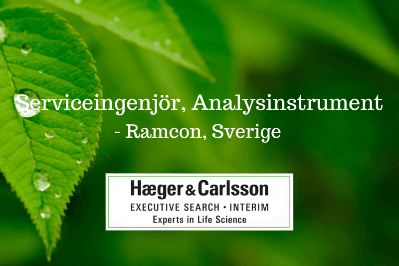 Serviceingenjör, Analysinstrument - Ramcon, Sverige image