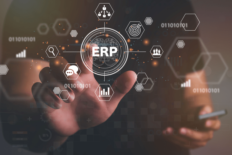 ERP Consultant image