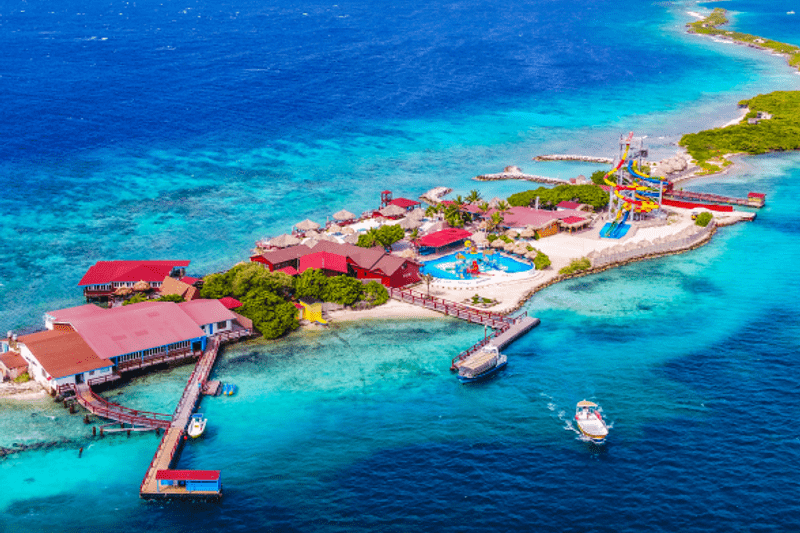 De Palm Island- Food & Beverage- Steward image