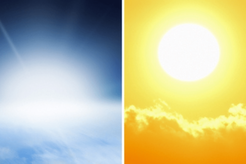 Gör praktik och granska svensk politik med Klimatpolitiska Rådet image