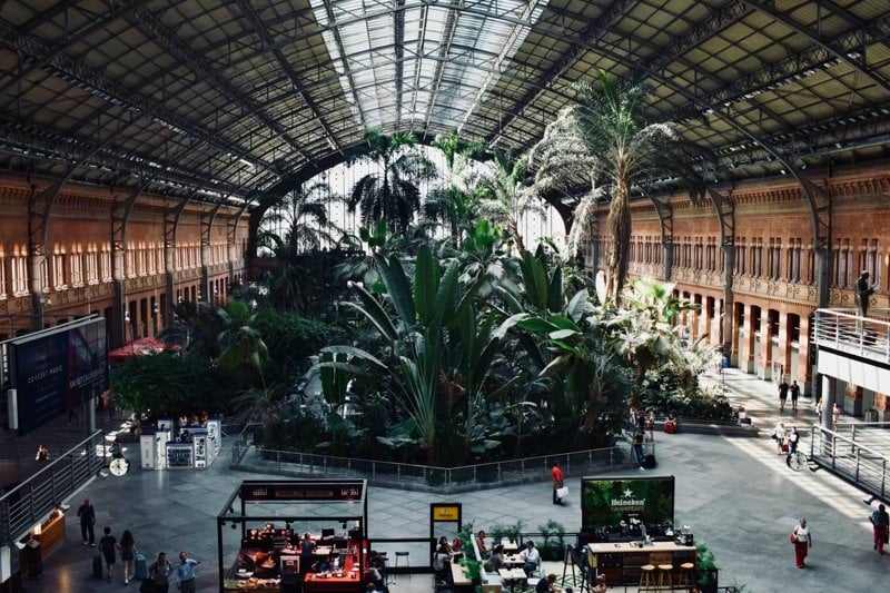 Country Manager Spain 🇪🇸 image