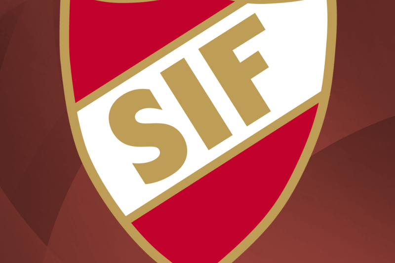 Ekonomiansvarig/Marknadskoordinator - Skånela IF handboll image