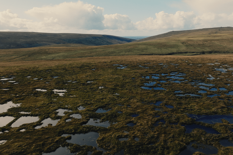 South West Peatland Partnership Restoration Manager image
