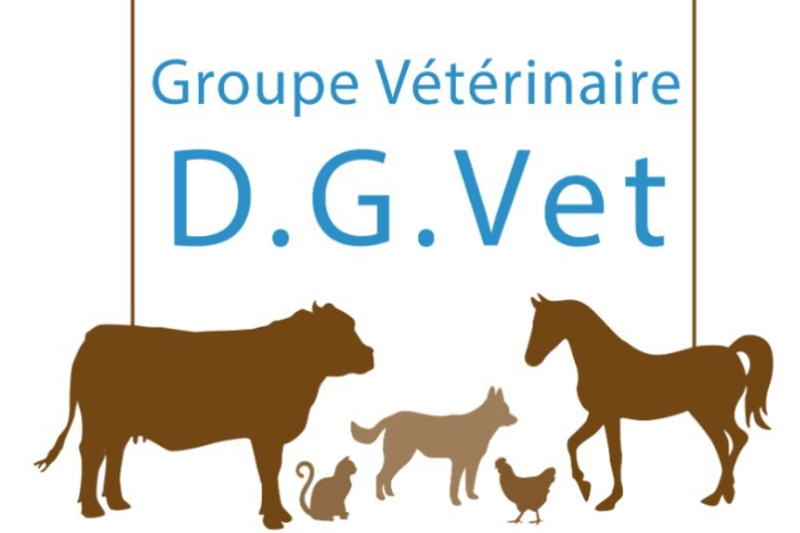 DGVET - PLATANES - DIGOIN - VETERINAIRE MIXTE CANIN/RURAL EN CDI (H/F) image