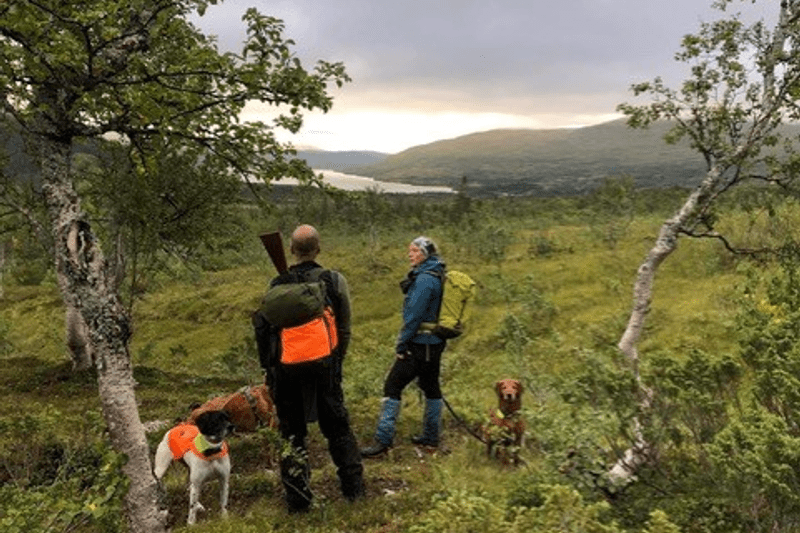 Veterinär till Fjällveterinären image