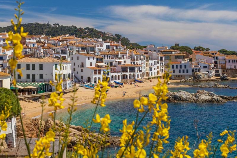 German Freelance Customer Engagement Specialist (Remote - Spain) image