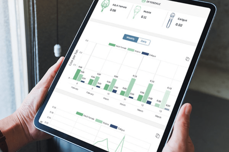 UX Designer – Turn complex aquaculture data into clarity for a global platform image