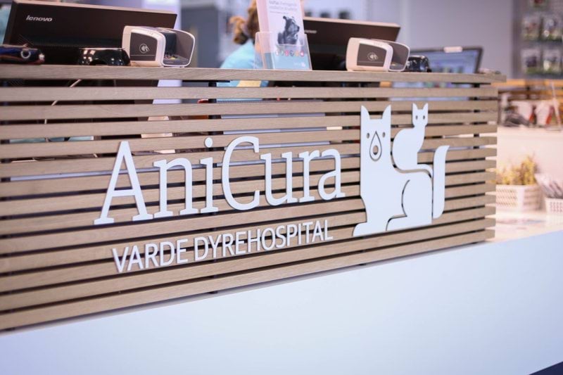 Aut. veterinærsygeplejerske med interesse i anæstesi image