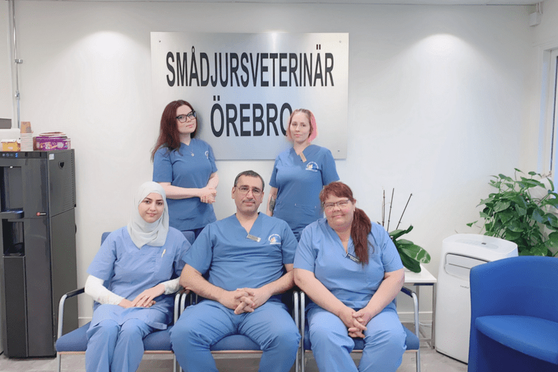 Veterinär till Smådjursveterinär Örebro image