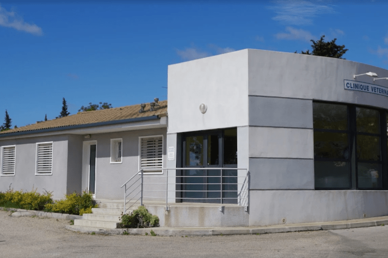 MONTPELLIER - CEVENNES - VETERINAIRE CANIN EN CDI (H/F) image