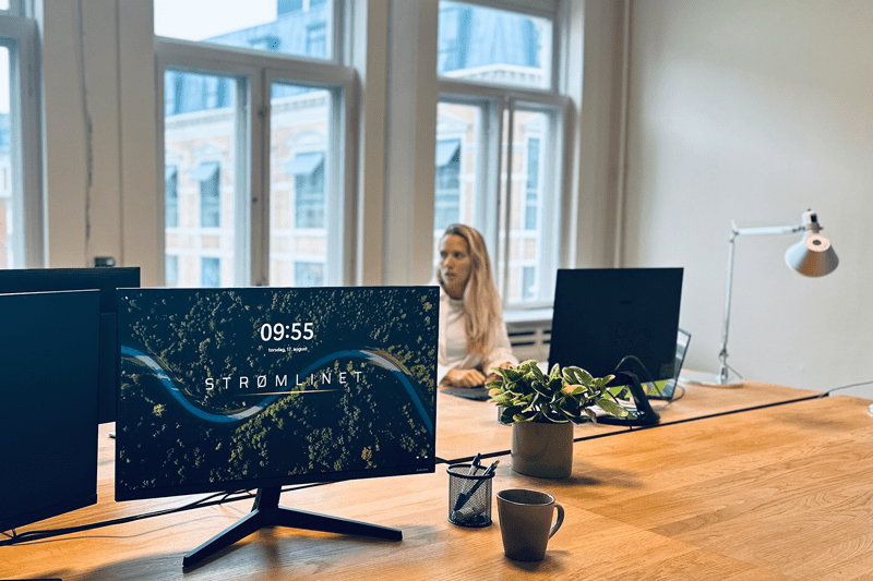 Partnerskabschef image