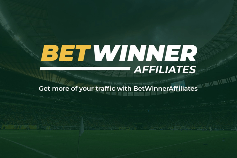 Affiliate Manager for BetWinner (GEO: Turkey / India) image