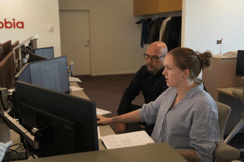 SAP Finance Consultant image