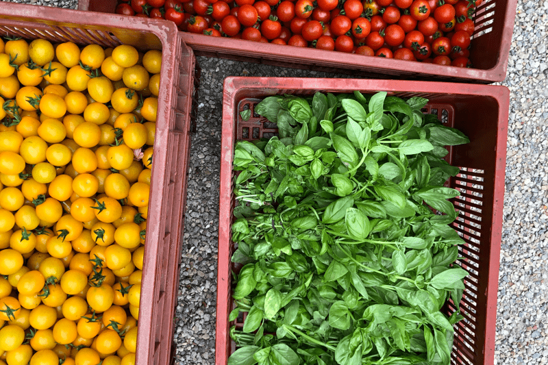 Chef d'exploitation (H/F) image