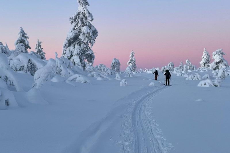 Retkiopas, Saariselkä image