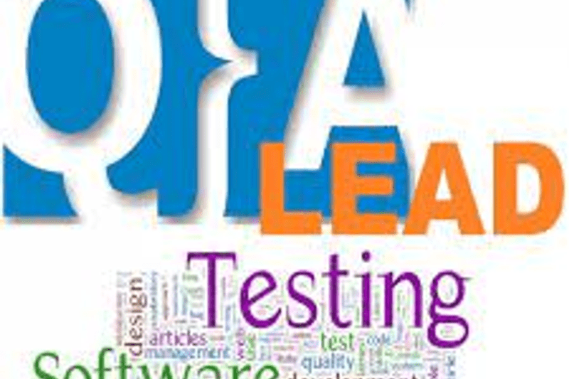 QA Lead image