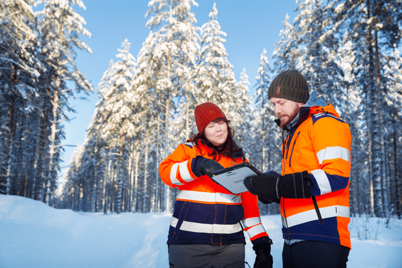 Mhy Lappi: Aluevastuullinen metsäasiantuntija image