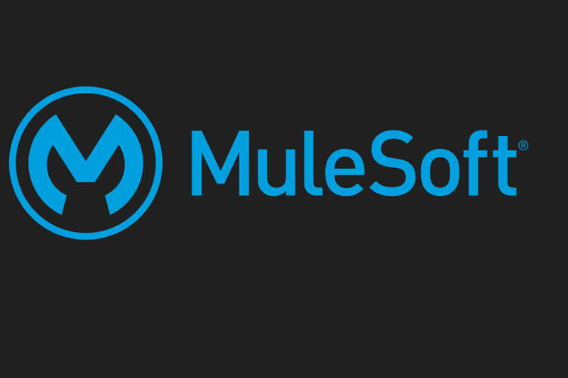 Mulesoft Integration Engineer [Zürich, teilweise onsite, 80-100%] image