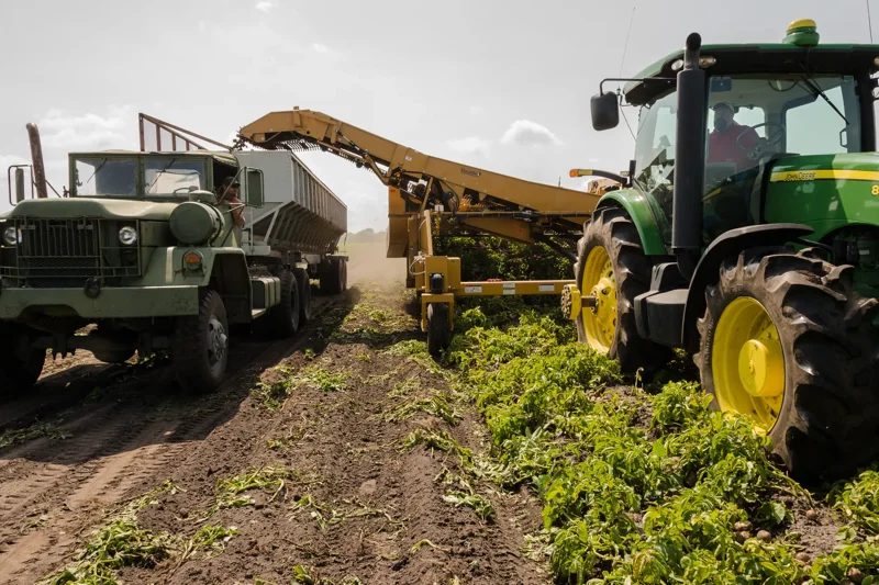 Mecánico agrícola image