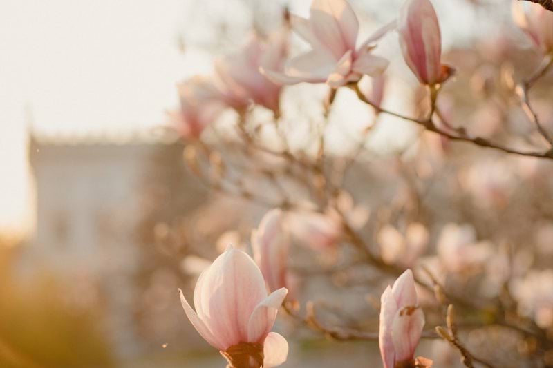 Butikssäljare till bemanningspool - Blomsterlandet, Strängnäs image