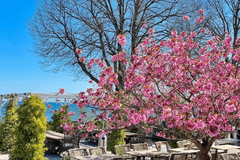 Hovmästare till restaurang Port på Ystad Saltsjöbad image