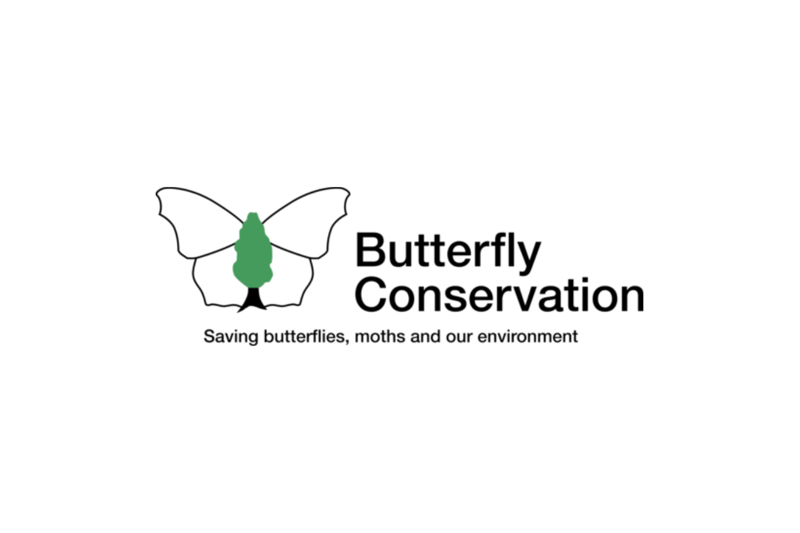 Trustee - Butterfly Conservation image