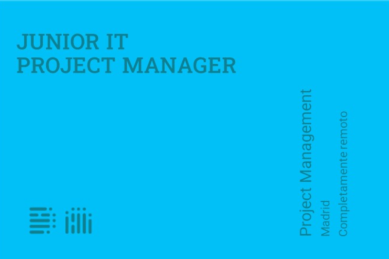 Junior IT Project Manager image