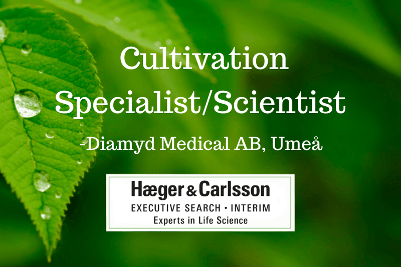 Cultivation Specialist/Scientist - Diamyd Medical image