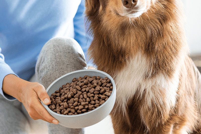 Auto-line Packing Machine Operative image