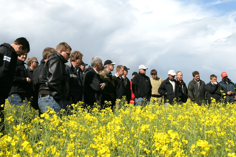 Växtodlingsagronom med kommunikationsdriv till Sveriges Frö- och Oljeväxtodlare image