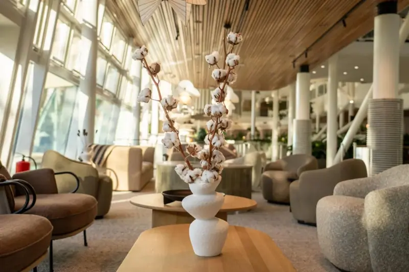 Receptionist till etablerad verksamhet image