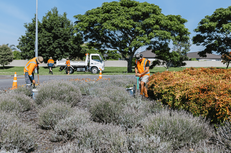 Mobile Gardens Team Member image