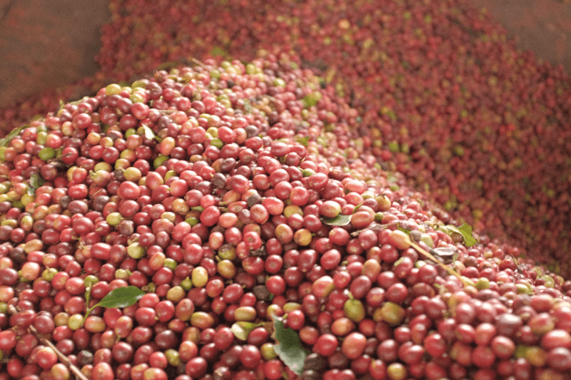 Account Manager - Mercanta image