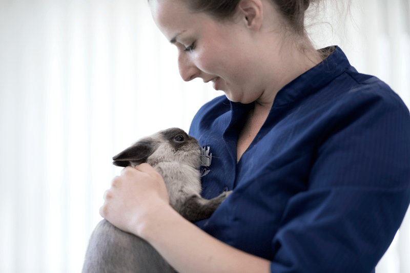 Vacature Paraveterinair AniCura Het Overbosch image