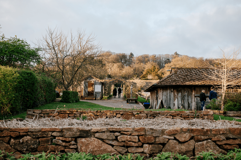 Systems Administrator image