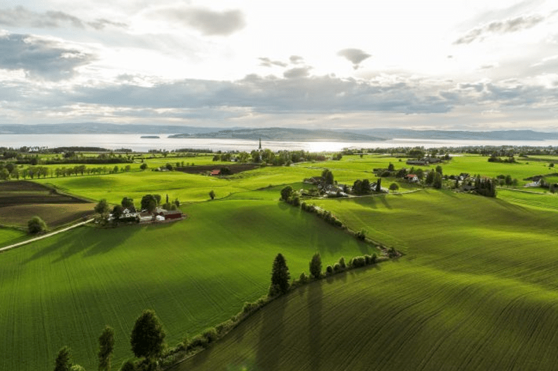 Landbrukssjef for Stange, Hamar og Løten kommune image