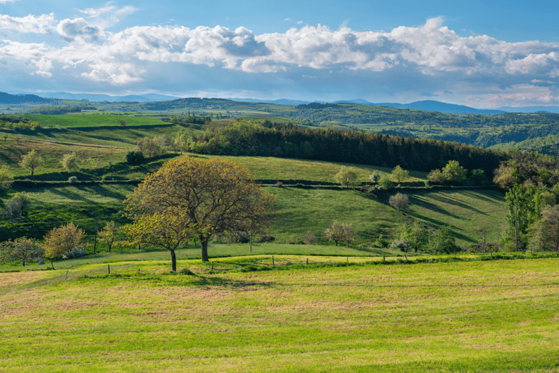 Chargé de supervision opérationnelle (H/F) image