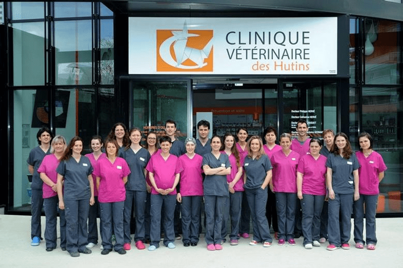 HUTINS - CLINICAT - VETERINAIRES JUNIORS EN CDI (H/F) image