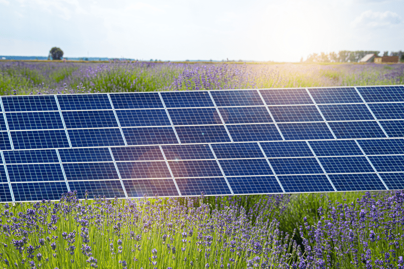 Junior Environmental Analyst image