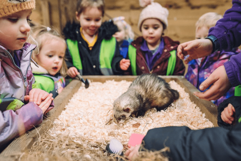 Deputy Manager image