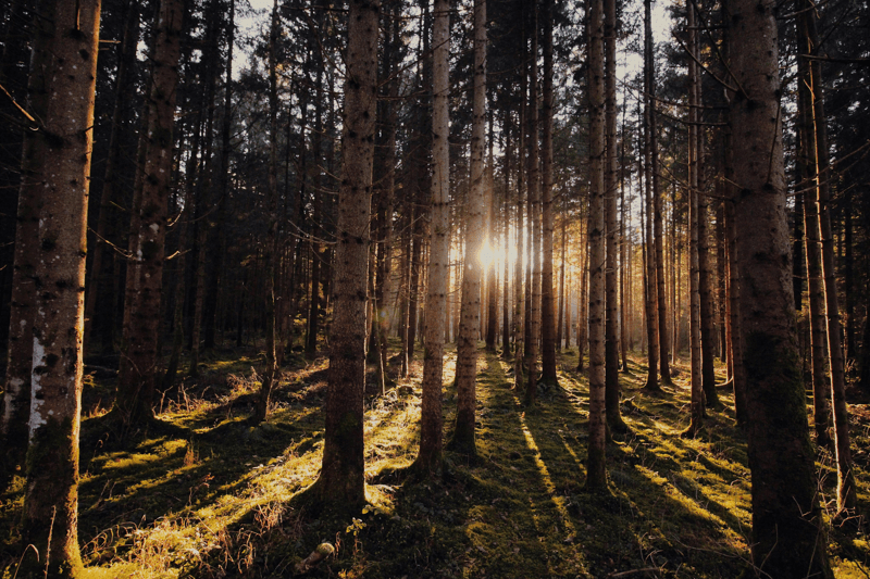 Androidutvecklare - säkerhetskritiska system image