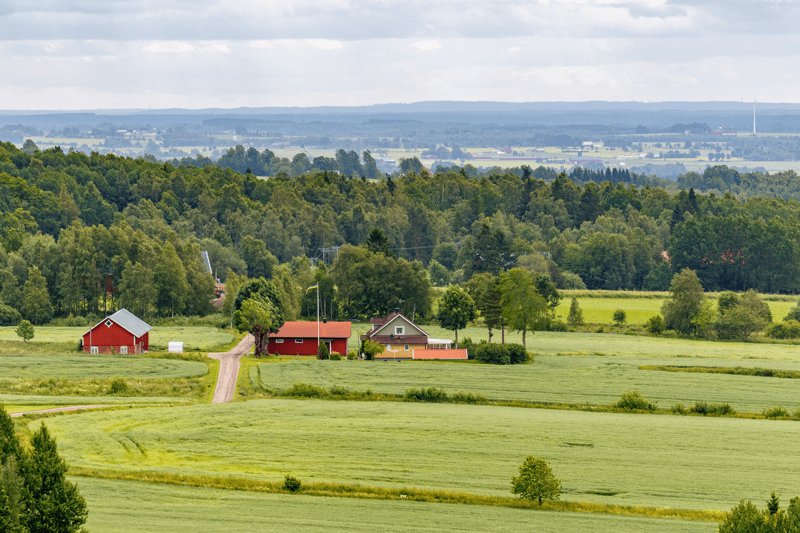 Fastighetsmäklare, Luleå image