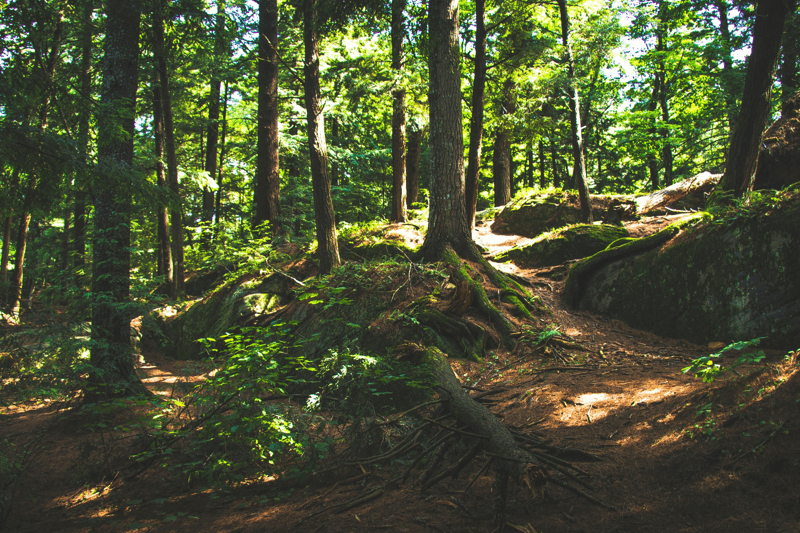 IT-supporttekniker - Forsmark image