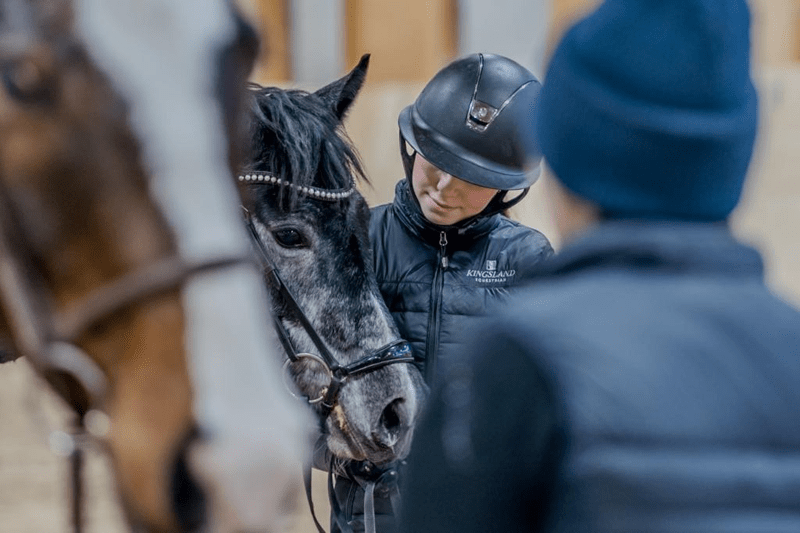 Vi söker en Stall- och anläggningsskötare till Bodens Ridklubb image