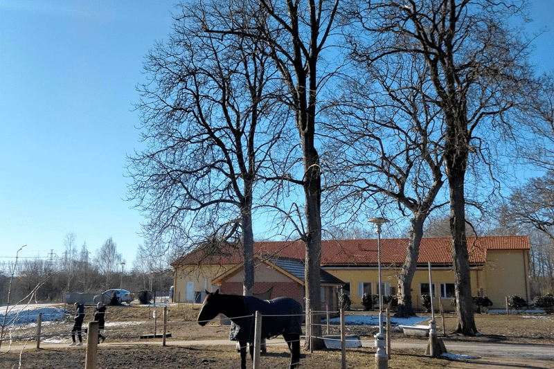 Stödpedagog sökes till Unika Molnby image